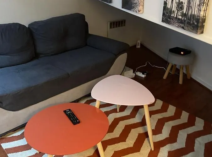 Grand Studio A Cote De La Gare Apartment *